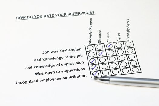 How do you rate your supervisor concept.