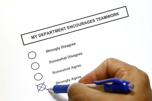Survey about company teamwork encouragement - tools for personnel amangement many uses.