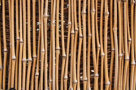 Photo of a bamboo fence that is for textures or other uses.