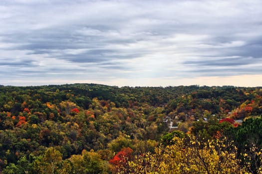 A mountain hill side with the foliage changing colors for the fall