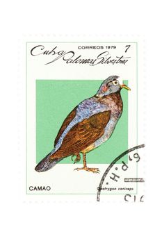 object on white - Cuban postage stamp