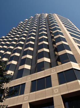 Tall office building in a southern city