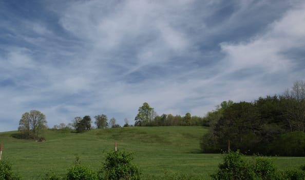 Grasslands on a rural garm