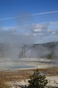 Steaming geothermal hot springs on the shore of Yellowstone Lake