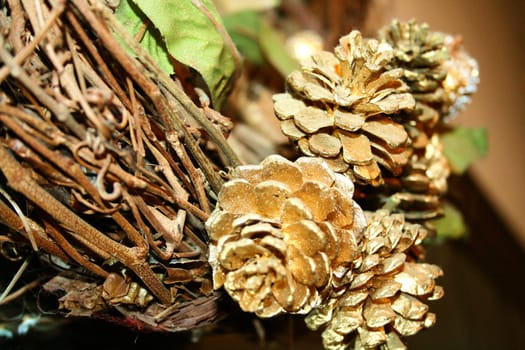 Close up of pine cones on a branch.