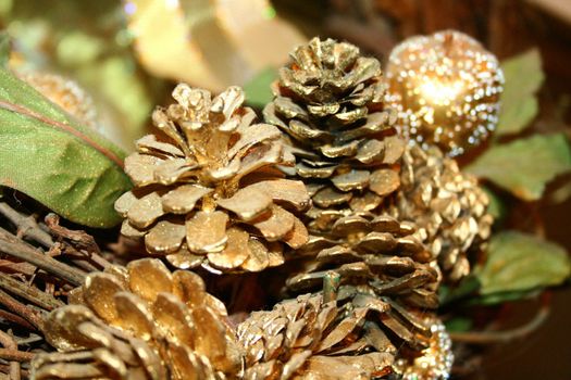 Close up of pine cones on a branch.