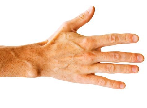 The hand isolated on a white background