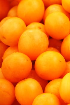 Yellow freshly harvested  plums on a farmer's market stall. Close up
