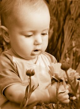 child studies flowerses,small boy,cognition of the world tone sepia child