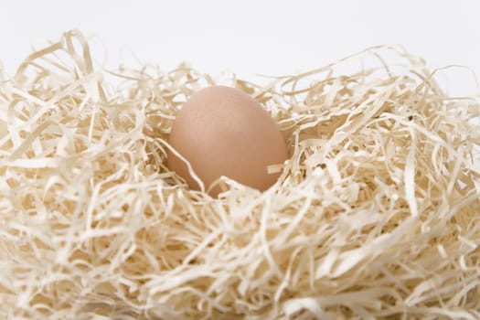 nest with egg inside on white background