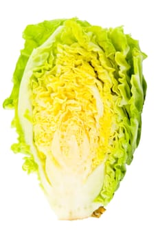 a piece of green cabbage - vegetable - detail