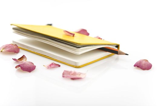 yellow notebook, pencil and rose petals isolated on white