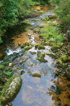 a little stream in the mountain valley