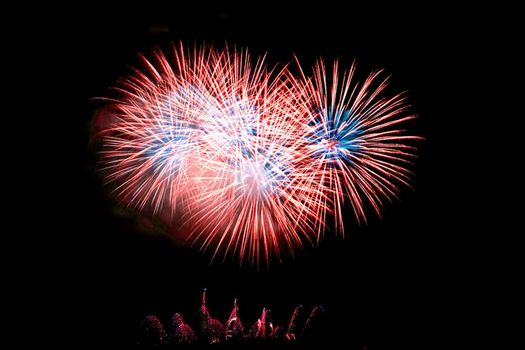 Fireworks Lighting up the Black Night Sky