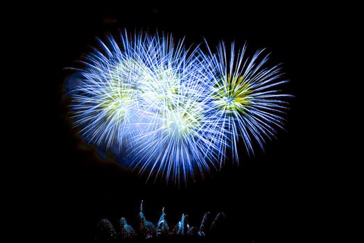 Fireworks Lighting up the Black Night Sky