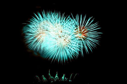 Fireworks Lighting up the Black Night Sky