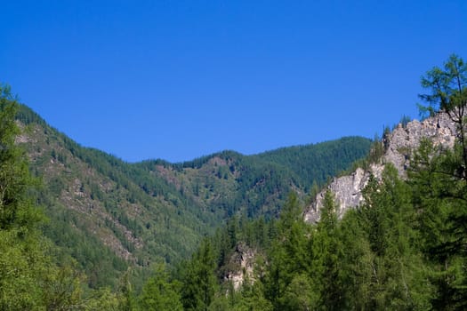 Mountain panorama: sky, valley and forest 
