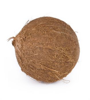 coconut