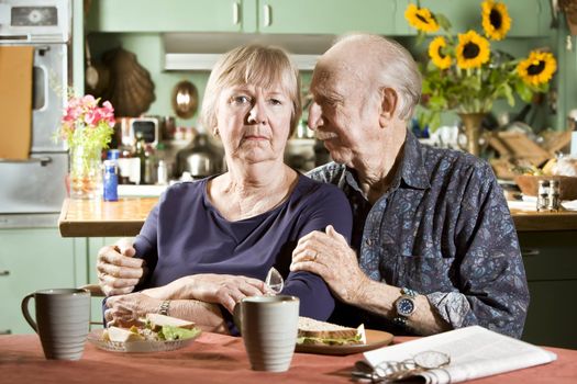 Portrait of Worried Senior Couple in their Dining Room