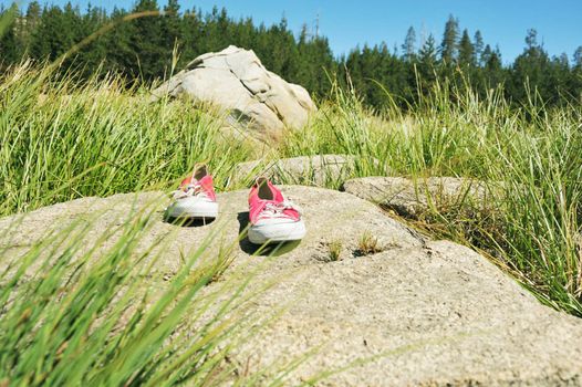 A pair of red tennis shoes left behind in the forest.