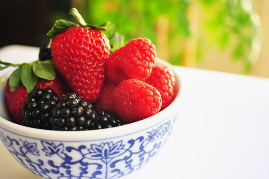Blackberry, Raspberry and Strawberries in a small white and blue bowl.
