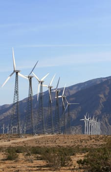 Wind Turbines in the California Desert