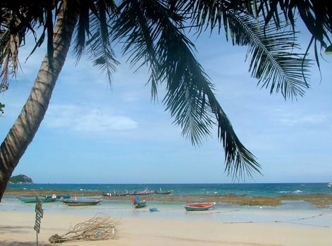 A troipcal beach on the island of Koh Tao, Thailand