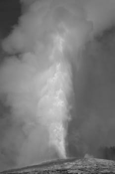 Old Faithful Geyser at peak of eruption