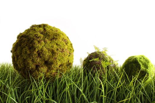 Moss covered balls laying in tall green grass
