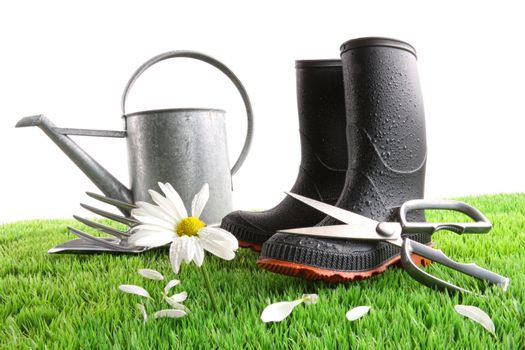 Rubber boots with watering can and daisy in grass 