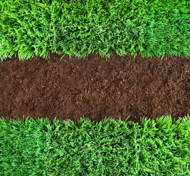 Short green grass and brown earth Background