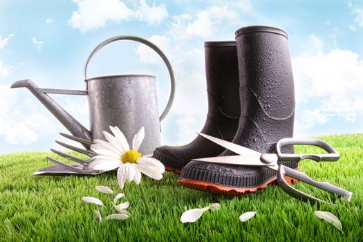 Rubber boots with watering can and daisy in grass