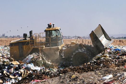 A trash compactor moves trash in a landfill. The stench is amazing!