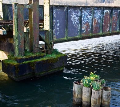 A railroad trestle covered in graffiti with spring flowers in the foreground
