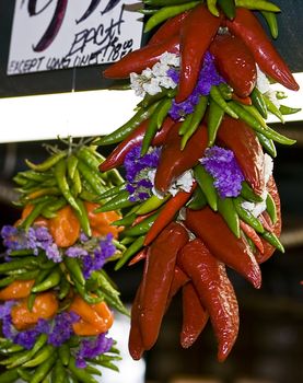 Colorful peppers hang in a market stall ready for a buyer
