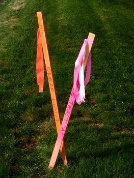 A set of orange and pink survey markers with grass in the background
