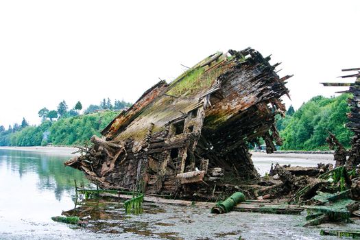 The bow of a wrecked ship on the Puget Sound in Washington State
