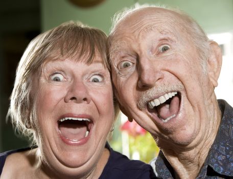 Close Up Portrait of Senior Couple