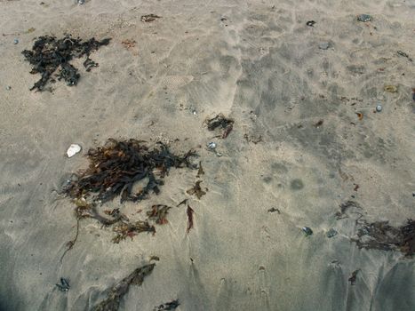 picture of a sand on a beach