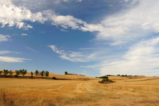 Fields after harvest