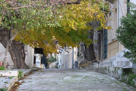 Romantic alley in Athens, Greece