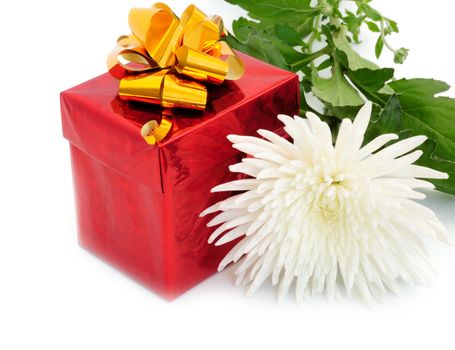 gift in box and white chrysanthemum