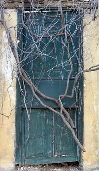 Antique door sealed by roots in Athens, Greece