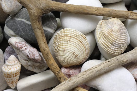 Assortment of stones, shells and wood sticks in a beach