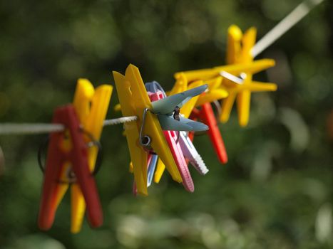 Colourful clothespins on a clothesline outside
