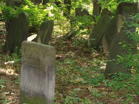 Jewish cemetery in Warsaw, Poland                
