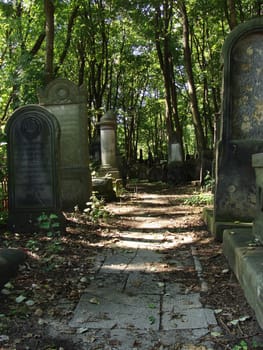 Jewish cemetery in Warsaw, Poland            