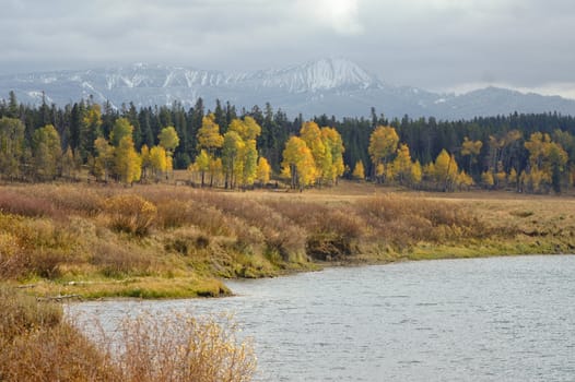 Turning leaves at Grand Tetons National Park