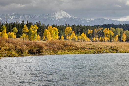 Yellows highlight a stormy view of Grand Tetons