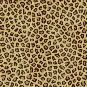 Jaguar fur texture